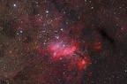 IC 4628 Garnelennebel / 2019
