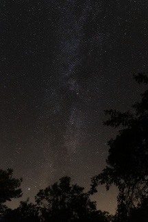 IMG 7632