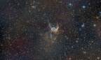 NGC 2359 Thors Helm
